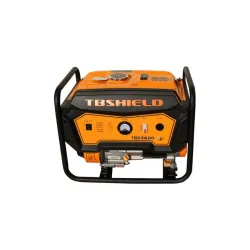 Бензиновый генератор EF Power TBS3600