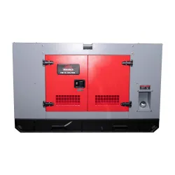 Генератор дизельный Vitals Professional EWI 40-3RS.100B 40.0/44.0 кВт, трехфазный, с электрозапуском
