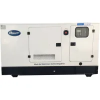 Дизельный генератор Malcomson ML825-PE3